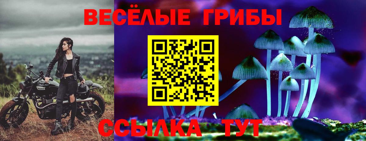 Ейск  Псилоцибиновые грибы Psilocybine cubensis  Галлюциногенные грибы мицелий  Вход с VPN 