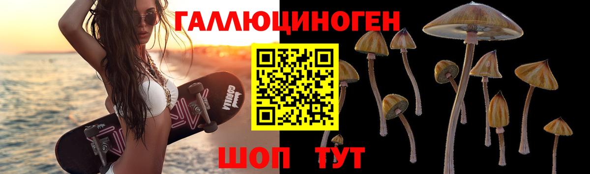 Псилоцибиновые грибы прущие грибы Ейск